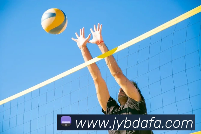 大发彩票平台生态图